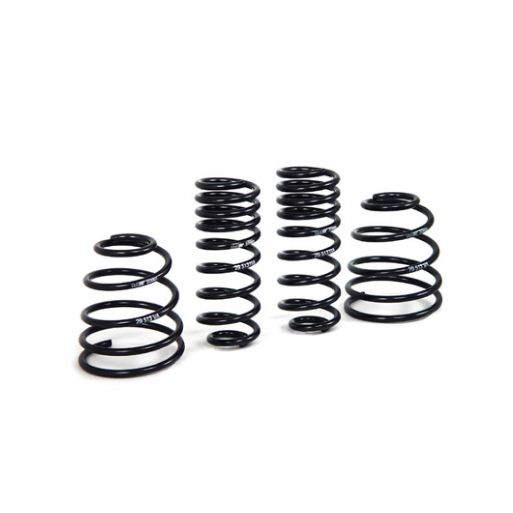Porsche Coil Spring Kit - 911 98-04 29513 | Sierra Madre Collection ...