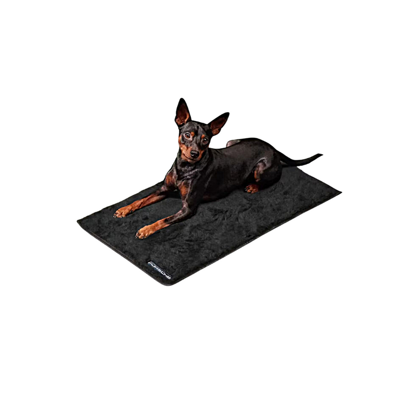 Porsche Dog Blanket - Small