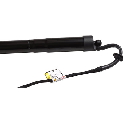 Porsche Electric Motor - Tailgate - Cayenne 92A 11-15 1681201400