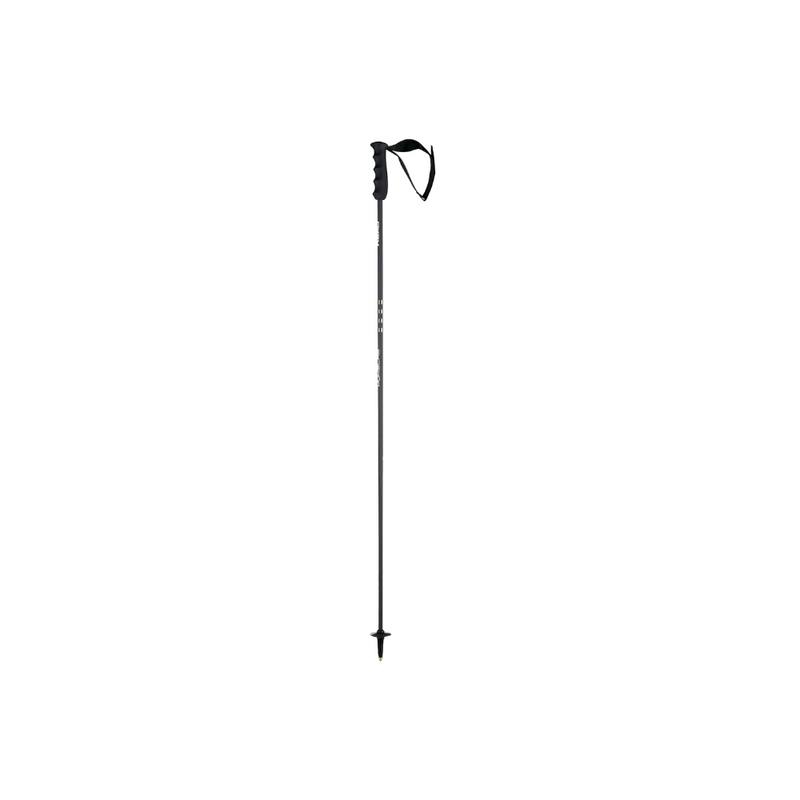 Porsche Genuine Porsche 110mm Head Carbon Poles - WAP062HCP0P110 WAP062HCP0P110