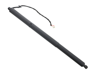 Porsche Hatch Shock, Cayenne | 2011-2014 958827851A
