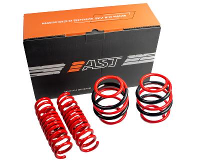 Porsche Lowering Springs - 911 93-97 ASTLS-14-1780