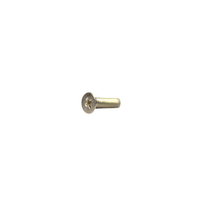 Porsche M06x10 Stainless 965 Machine Screw 10 Pieces 965A2M06X10