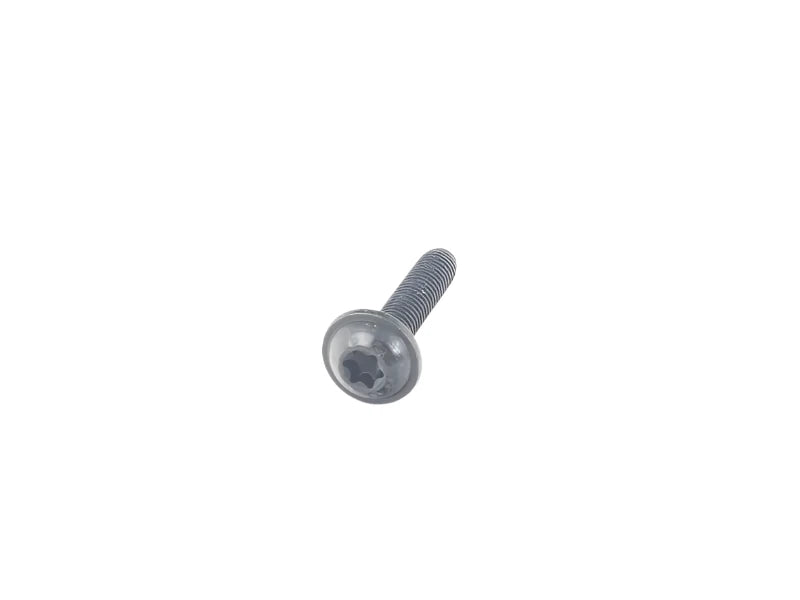 Porsche Oval Head Screw 6x30 - Panamera 10-16 999-919-259-01