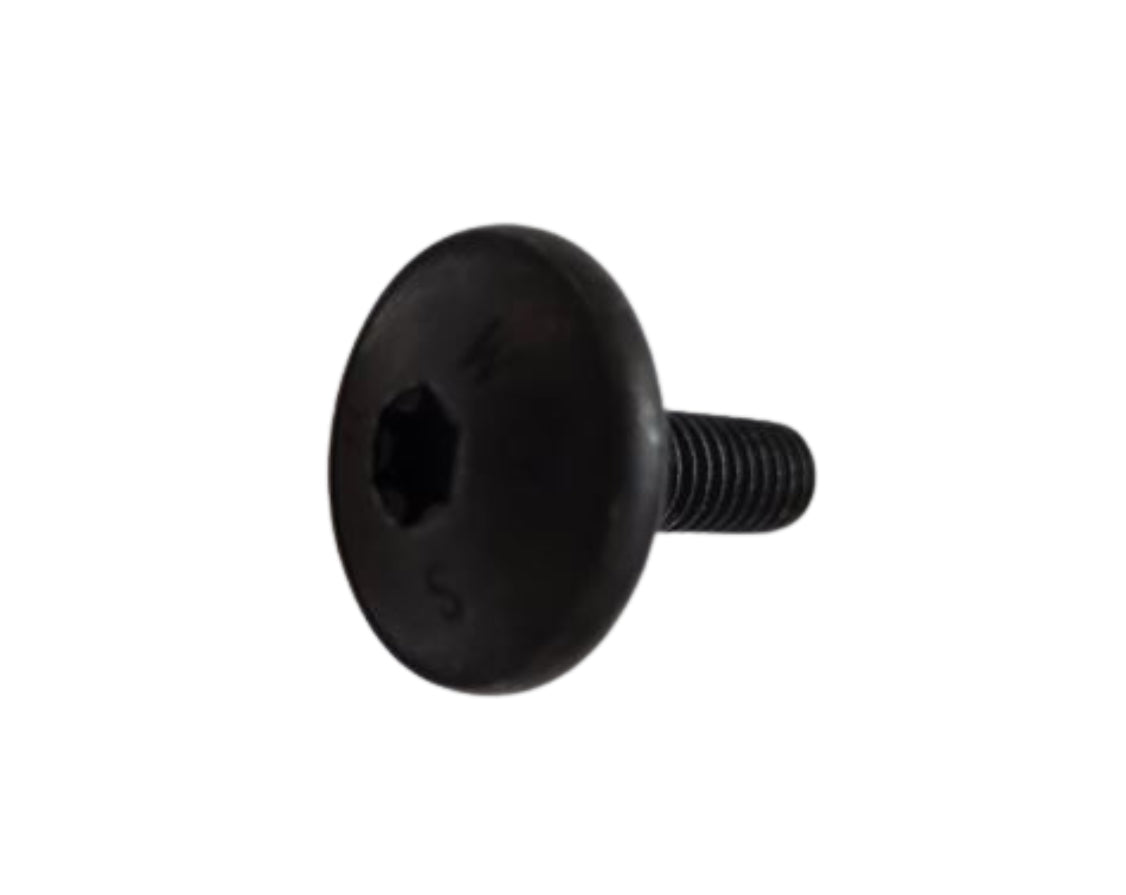 Porsche Oval Head Screw M6X20 - 911/Boxster/Cayman/Panamera 05-19 999-073-348-09