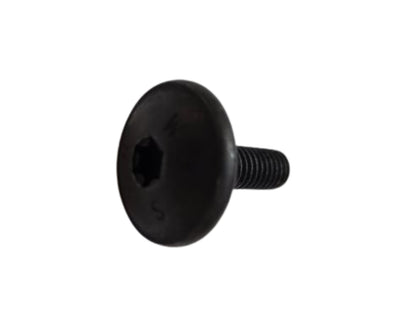 Porsche Oval Head Screw M6X20 - 911/Boxster/Cayman/Panamera 05-19 999-073-348-09