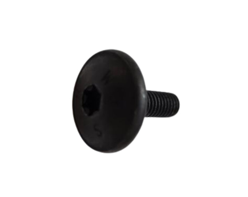 Porsche Oval Head Screw M6X20 - 911/Boxster/Cayman/Panamera 05-19 999-073-348-09