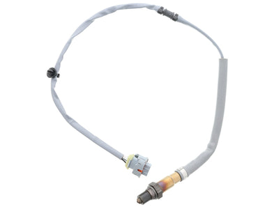 Porsche Oxygen Sensor After Catalyst , 911 | 2012-2016 9A160619102