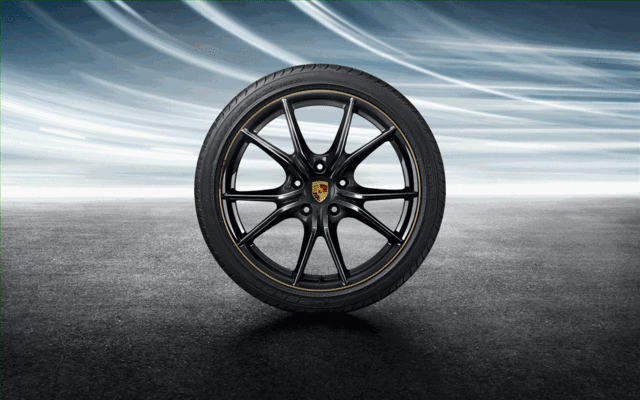Porsche Rim Trim Strips Gold - 9920448205624K - 991 - 992 12-23 - 982 17-23 9920448205624K