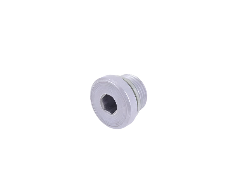 Porsche Screw Plug - 911/Boxster/Cayman 98-08 986-397-026-01