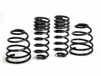 Porsche Sport Spring Kit - 911 98-04 29513-2
