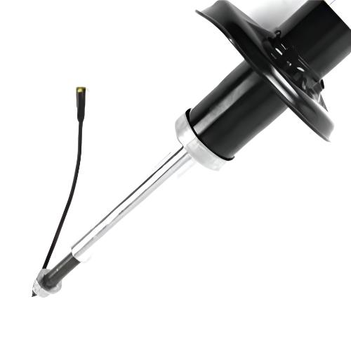 Porsche Strut Assembly Rear - Boxster/Cayman 13-23 23-275614