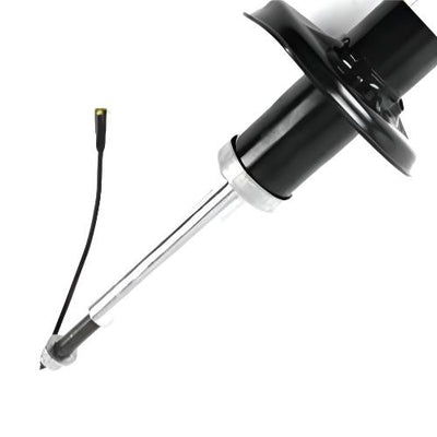 Porsche Strut Assembly Rear - Boxster/Cayman 13-23 23-275614