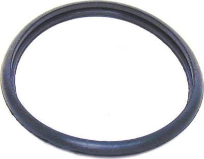 Porsche Thermostat O-Ring - 911 82-83 NCA2246BA