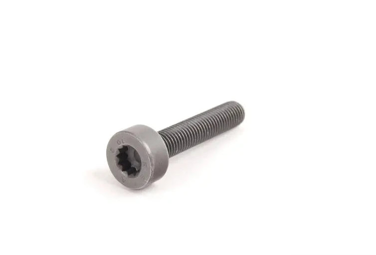 Porsche Torx Bolt - Cayenne/Panamera 10-15 N-911-290-01