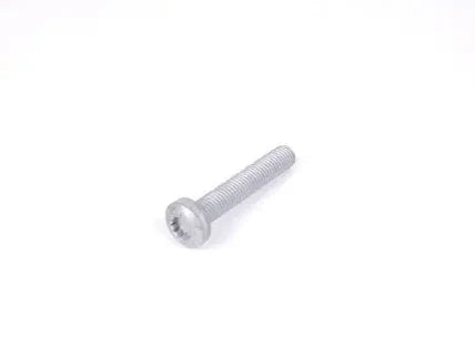 Porsche Torx Bolt - Cayenne/Panamera 11-18 N-911-894-01