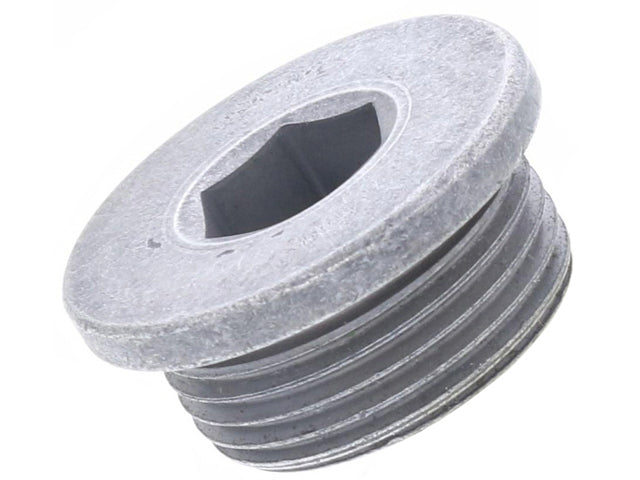 Porsche Transmission Case Plug 22 X 10 mm , Macan | 2015-2025 PAF003487