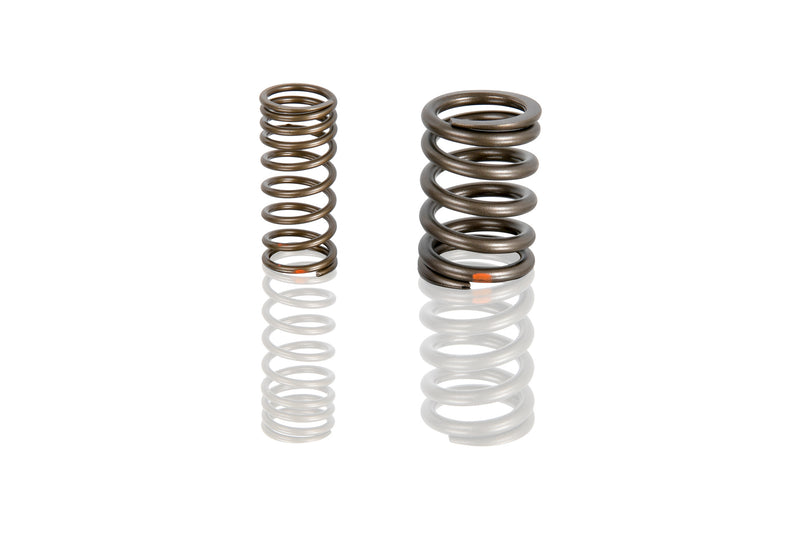 Porsche Valve Spring Set - 924 76-85 PCG-109-623