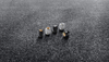 Porsche Valve Stem Caps Silver with Black Crest - 99104460268 99104460268