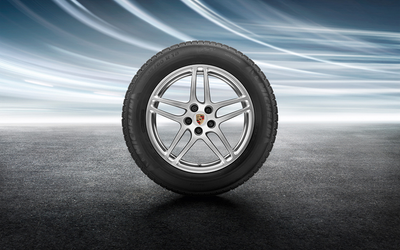 Porsche Winter Wheel Set - 95B044640B - Macan 95B044640B