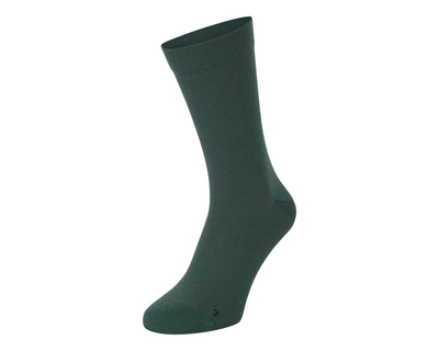 Porsche x ION Unisex Sport Socks - Green