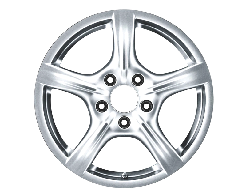 Rear Alloy Wheel - 10JX19 - ET61 - Panamera | 2014-2016