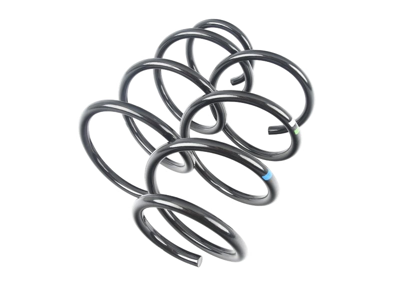 Rear Axle Coil Spring Set - Cayman | 2007-2008