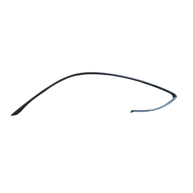 Roof Frame Seal - Left - Cayman | 2006-2012