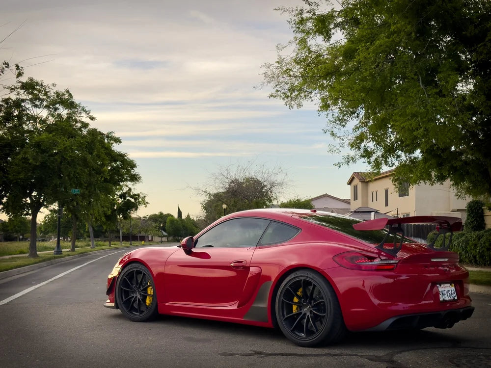 Shark Fin Style Stone Guards - Boxster | Cayman | 2015-2016
