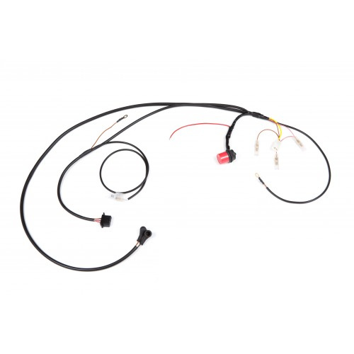 Fuel Pump Wiring Harness, 911 (77-83), 930 (77-83) - Sierra Madre Collection