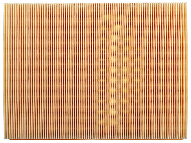 Porsche Air Filter, 718 Boxster/911 | 2017-2018 ESR1445