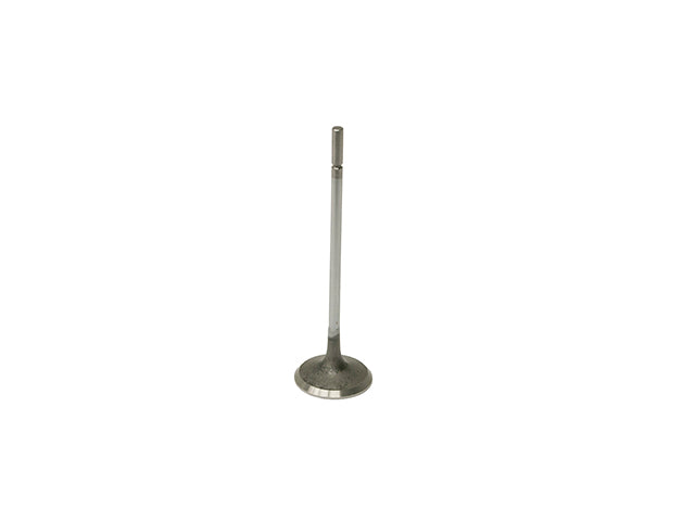 BMW Intake Valve | 2013 LR002447