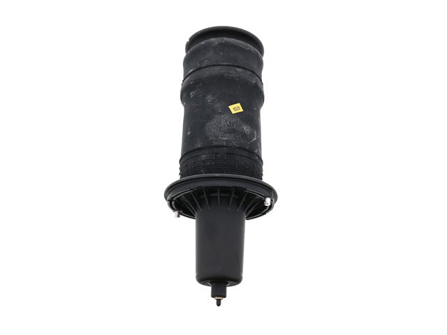 Porsche Suspension Air Bag (Pneumatic Spring), 911/718 Boxster/718 Cayman | 2019-2022 REB101740