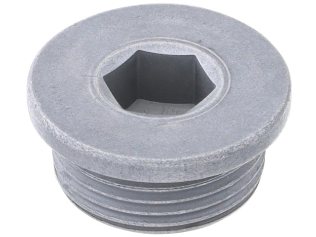 Porsche Transmission Drain Plug (22 x 10 mm), 911/356A/356B/912/356C/Cayenne/Panamera/Macan | 1957-2024 WHT003487
