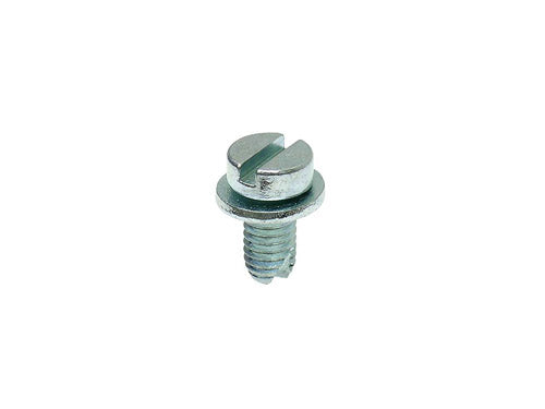 Engine Shroud Screw with Washer, 6mm x 10mm (56-77) - Sierra Madre Collection