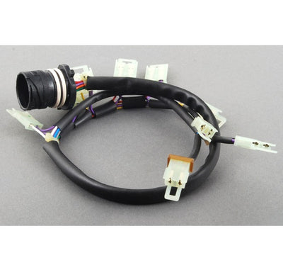 Wiring Harness, Boxster,(97-04) - Sierra Madre Collection