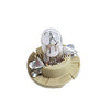 Porsche Bulb with Socket Base - 12V - 1.5W - 911/Boxster 97-05 999-631-303-90