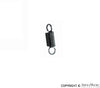 Porsche Distributor Advance Spring - All 356s/912 50-69 644-602-650-04