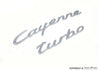 Porsche Emblem Cayenne Turbo - Aluminum Satin - Cayenne 03-06 - 08 955-559-038-01-4W9