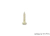 Porsche Hex Head Tapping Screw - 4.8mm x 19mm 60-68 900-187-004-02