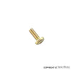 Porsche License Light Assembly Screw - 911/912 65-73 900-146-011-02