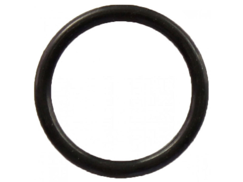 Porsche O-Ring Cold Start Injector Mount to Air Box - 20 X 2.5 mm - 911/928/930 74-89 999-701-210-4A