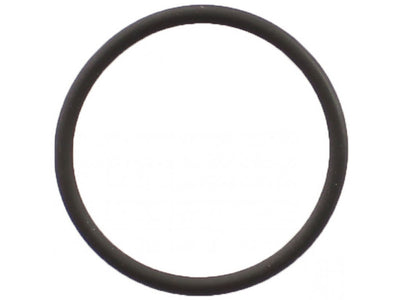 Porsche O-Ring Engine to Coolant Crossover Pipe - 39.2mm x 3 mm - 911 01-13 999-707-410-40