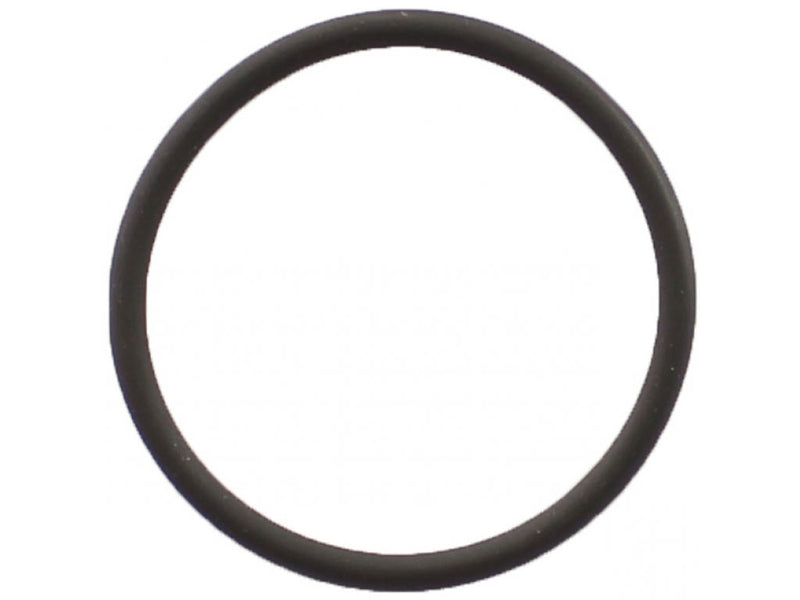 Porsche O-Ring Engine to Coolant Crossover Pipe - 39.2mm x 3 mm - 911 01-13 999-707-410-40