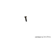 Porsche Tapping Screw - 3.5mm x 13mm - 911 74-89 900-145-071-07